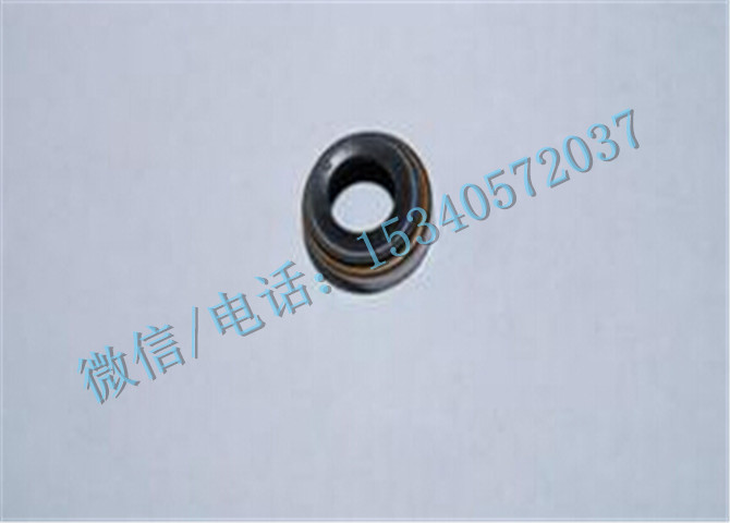 4099093气门杆密封圈-1