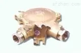 JXH301，JXH311 船用铜质接线盒