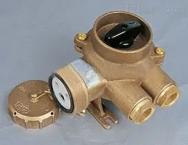 CZKH209-5，CZKH219-5 船用铜质带开关插座