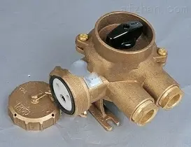 CZKH209-3，CZKH219-3 船用铜质带开关插座